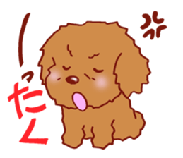 Sticker of the Toy Poodle. sticker #2444302