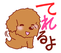 Sticker of the Toy Poodle. sticker #2444303