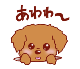 Sticker of the Toy Poodle. sticker #2444308