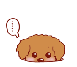 Sticker of the Toy Poodle. sticker #2444309