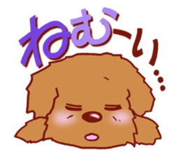 Sticker of the Toy Poodle. sticker #2444320