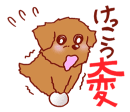 Sticker of the Toy Poodle. sticker #2444322