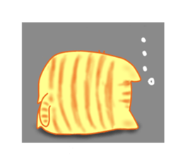 Fat cute cat sticker #2444819