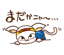 Playful cat!!! sticker #2445653