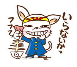Playful cat!!! sticker #2445670