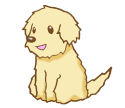 Sticker of the Golden Retriever sticker #2446288