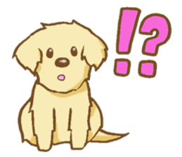 Sticker of the Golden Retriever sticker #2446289