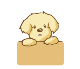 Sticker of the Golden Retriever sticker #2446312
