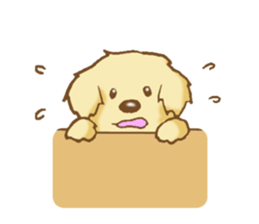 Sticker of the Golden Retriever sticker #2446313