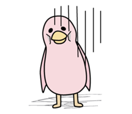 chichichi birds sticker #2448343