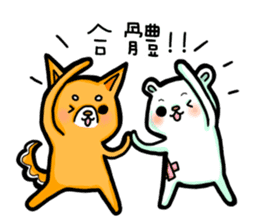 bandage bear&shiba inu sticker #2449249