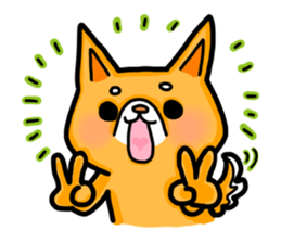 bandage bear&shiba inu sticker #2449274