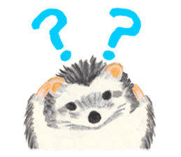 Haribo of hedgehog sticker #2449976