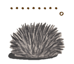 Haribo of hedgehog sticker #2449983