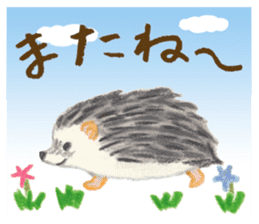 Haribo of hedgehog sticker #2449987