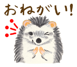 Haribo of hedgehog sticker #2449989