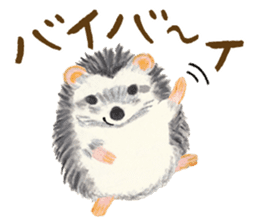 Haribo of hedgehog sticker #2449998