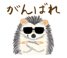 Haribo of hedgehog sticker #2450000