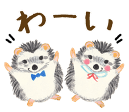 Haribo of hedgehog sticker #2450001