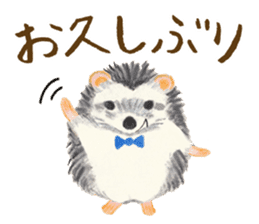 Haribo of hedgehog sticker #2450003