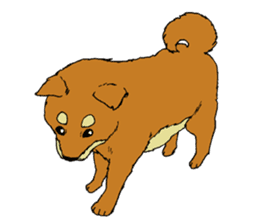 Japanese dog "SHIBA" sticker #2450783