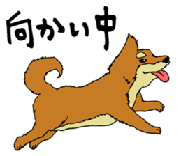 Japanese dog "SHIBA" sticker #2450799