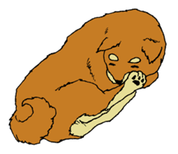 Japanese dog "SHIBA" sticker #2450802