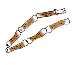 Cat and fish sausage sticker #2452084