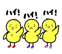 chick. chick sticker #2457004