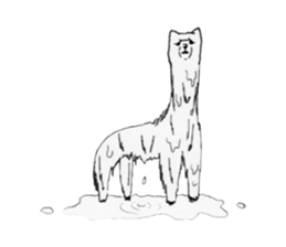 Alpaca Alpaca sticker #2457398