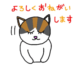 Mi-chan calico cat sticker #2457931