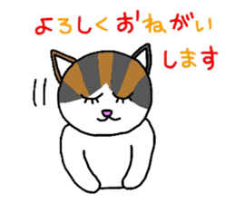Mi-chan calico cat sticker #2457931