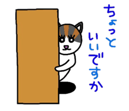 Mi-chan calico cat sticker #2457953