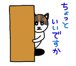 Mi-chan calico cat sticker #2457953