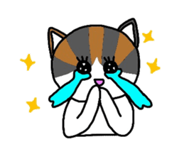 Mi-chan calico cat sticker #2457956