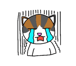 Mi-chan calico cat sticker #2457959