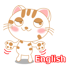 The Everyday Life of a Funny Cat English