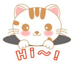 The Everyday Life of a Funny Cat English sticker #2460371