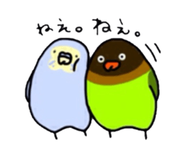 Four kinds of parakeets sticker #2461408