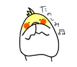 Four kinds of parakeets sticker #2461415