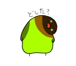 Four kinds of parakeets sticker #2461416