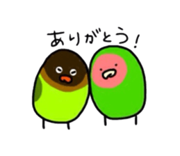 Four kinds of parakeets sticker #2461418