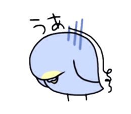 Four kinds of parakeets sticker #2461419