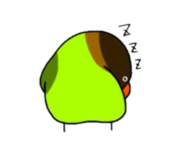 Four kinds of parakeets sticker #2461421