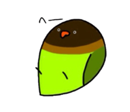 Four kinds of parakeets sticker #2461434