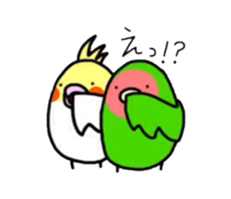 Four kinds of parakeets sticker #2461442