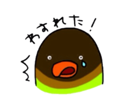 Four kinds of parakeets sticker #2461447