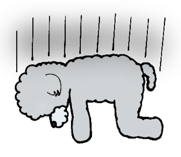 Silver toy poodle sticker #2461811