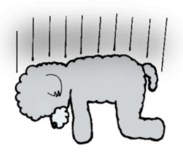 Silver toy poodle sticker #2461811