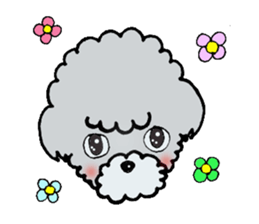 Silver toy poodle sticker #2461814
